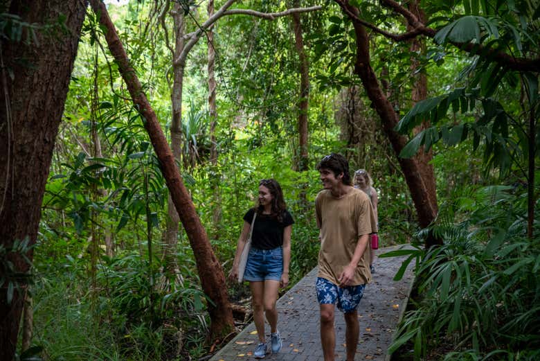 Exploration de la jungle de l'île Fitzroy