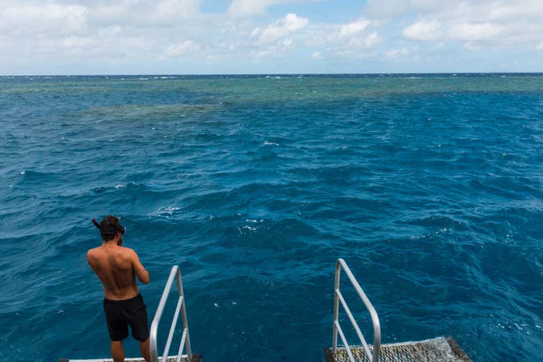 Sur le point de faire du snorkeling