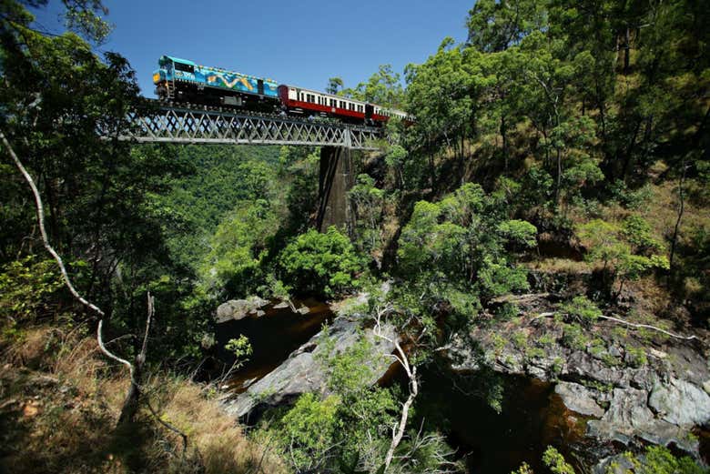 El tren panorámico atravesando la selva de Queensland