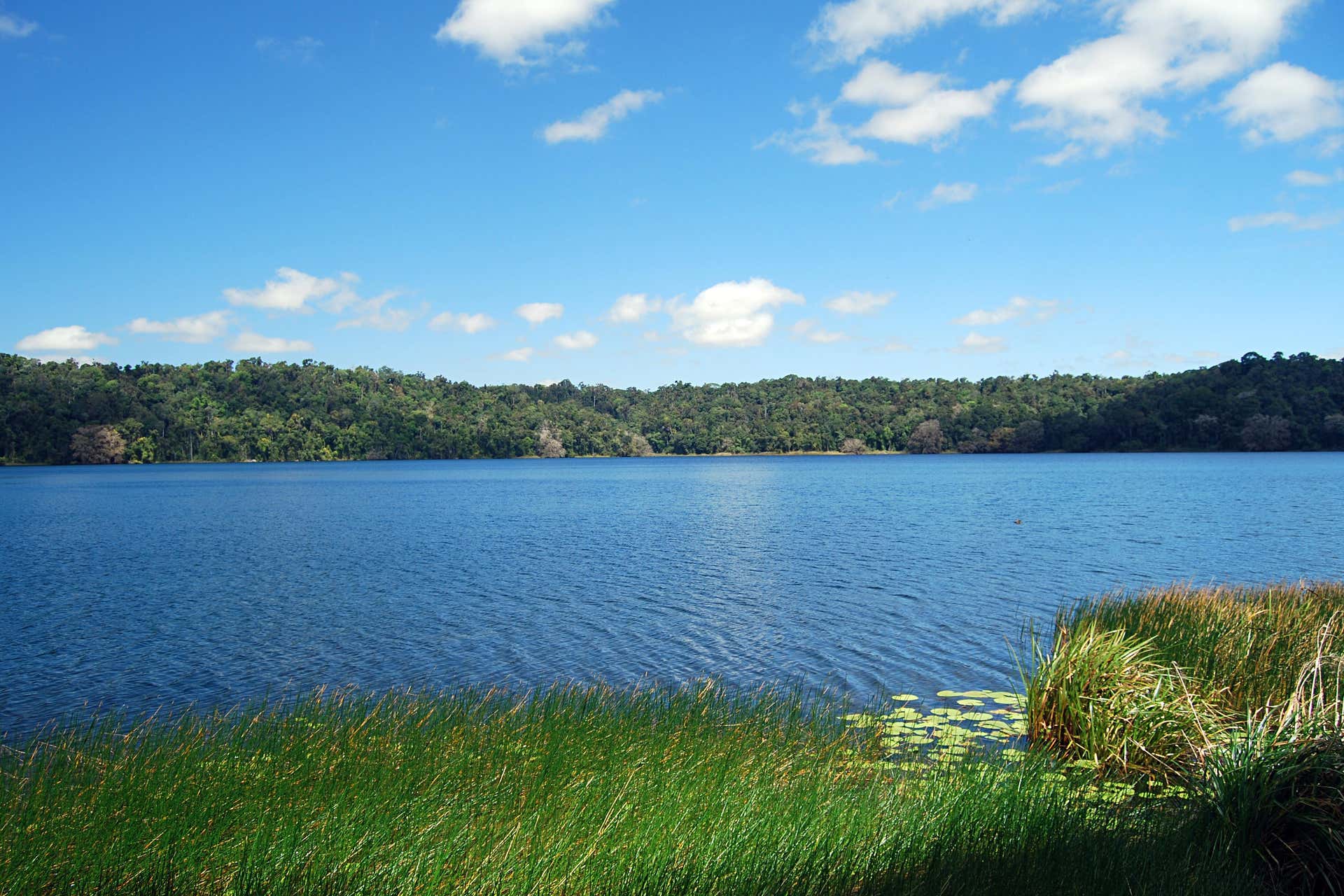Visite du plateau d'Atherton