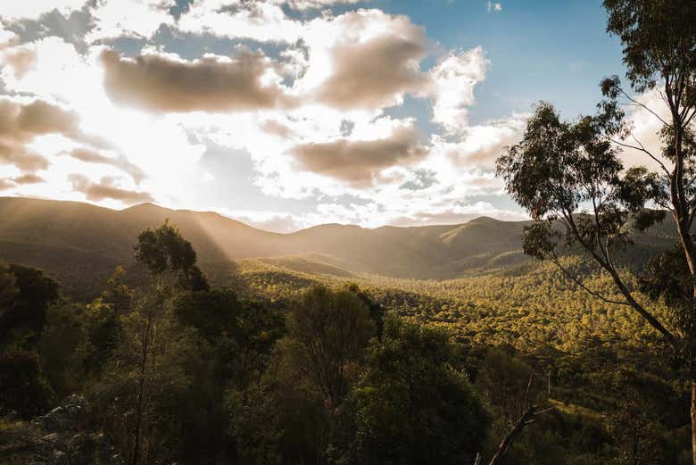 Une vue panoramique du paysage de Canberra