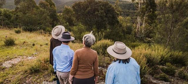 Tour por la Reserva Natural de Tidbinbilla