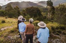 Visite de la réserve naturelle de Tidbinbilla