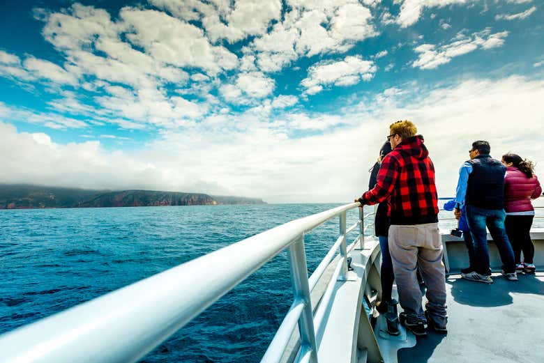 Balade en bateau dans la baie de Wineglass
