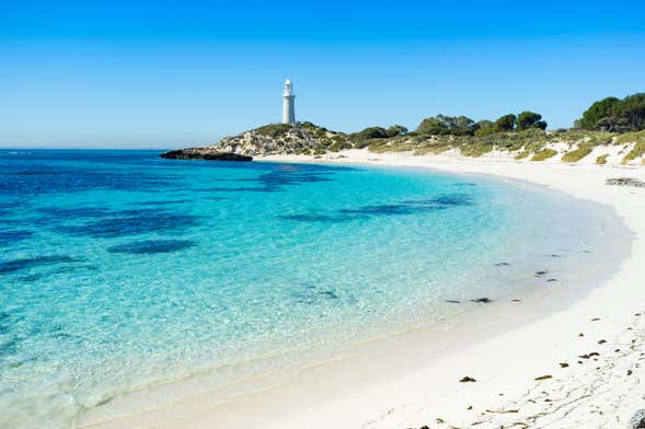 Bathurst Island Tour