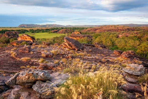 Excursión al Parque Nacional Kakadu