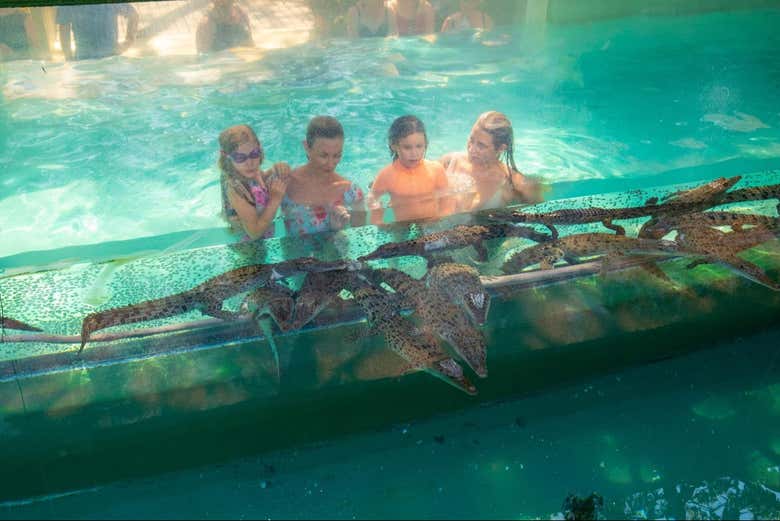 ¡Un plan para toda la familia!