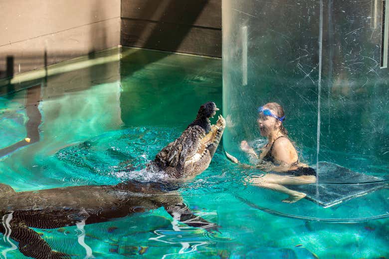 Disfrutando de la experiencia