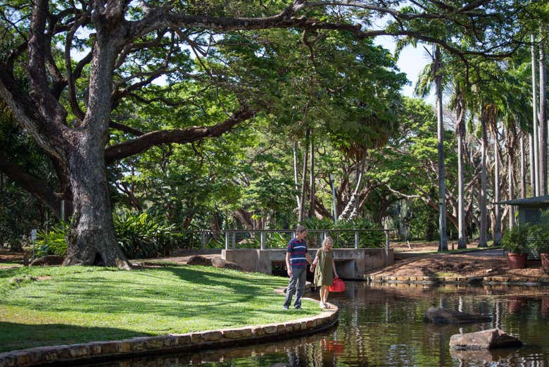 Visitando il giardino botanico