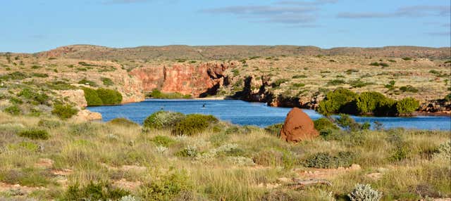 Excursão a Ningaloo