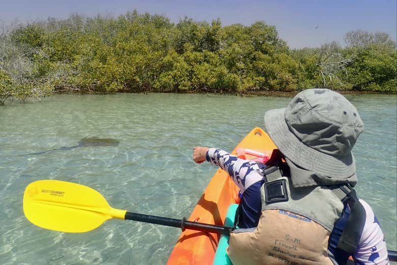 Remando in acque tranquille