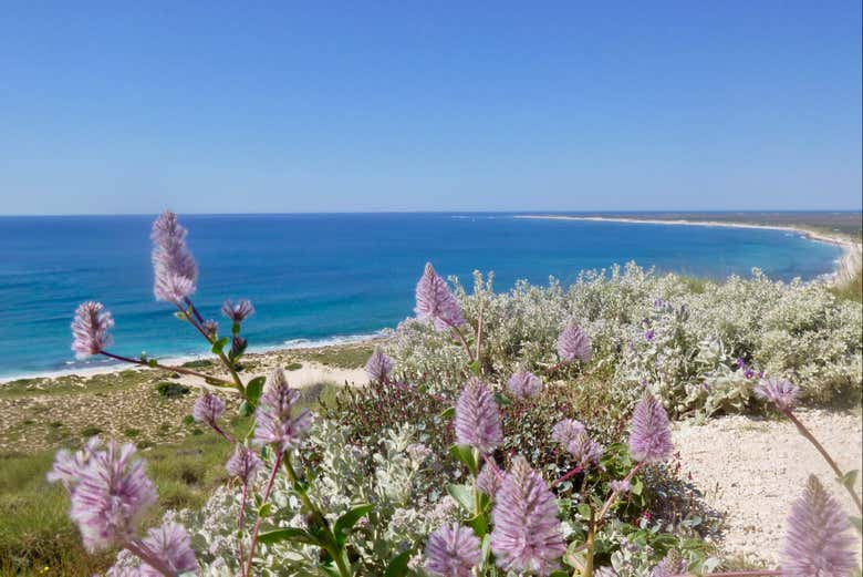 Você terá belas panorâmicas da costa