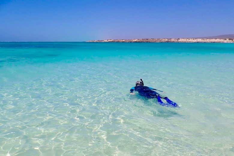 Praticando snorkel