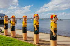Geelong Tour