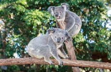 Entrada a Currumbin Wildlife Sanctuary