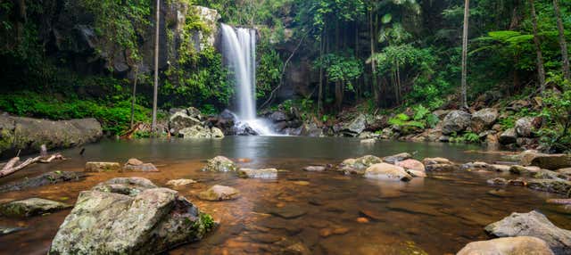 Tamborine National Park Day Trip