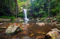 Excursión al Parque Nacional Tamborine