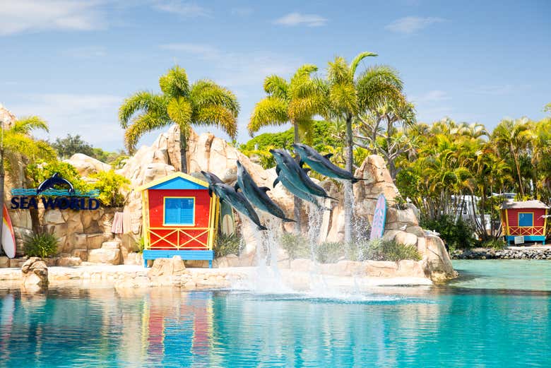 Você poderá visitar o Sea World