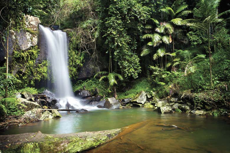 ¡Os enamoraréis de los paisajes de Tamborine!