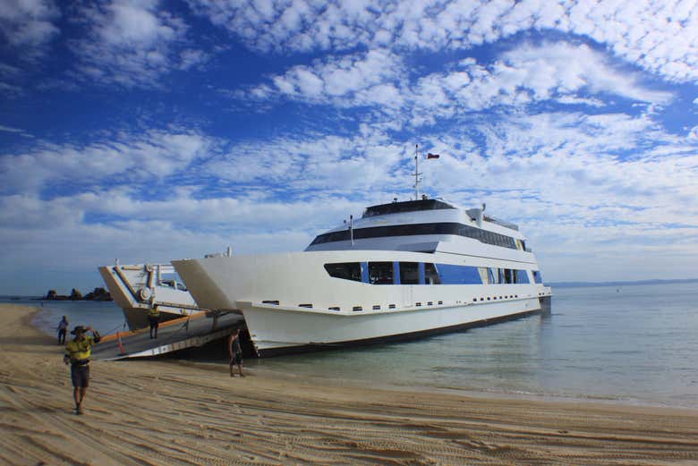 Transfers on the MICAT Vehicle Ferry to Moreton Island