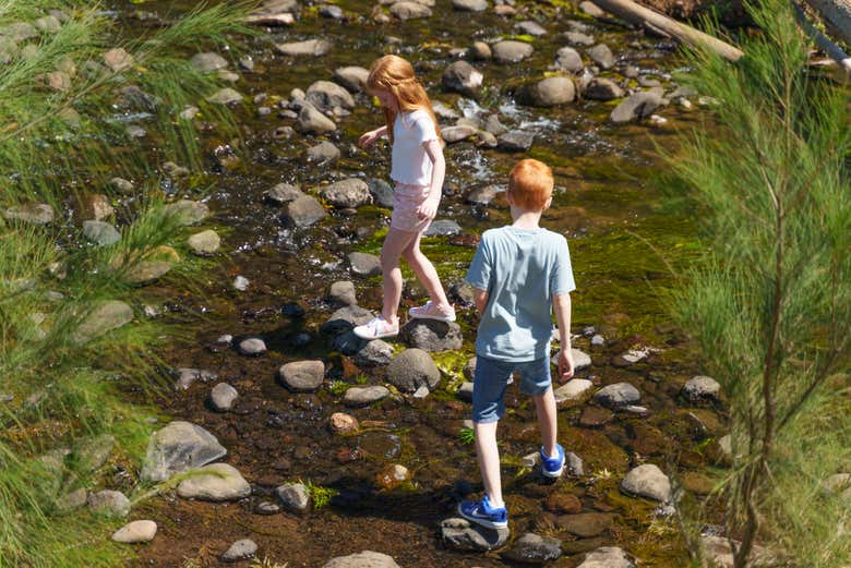 Haremos una visita guiada por la selva tropical