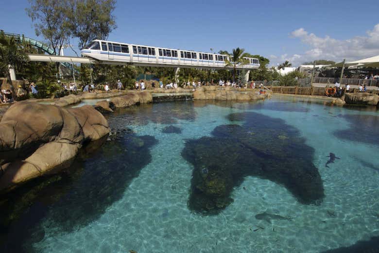Sea World Gold Coast