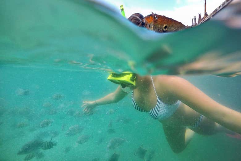 Snorkelling around the shipwrecks