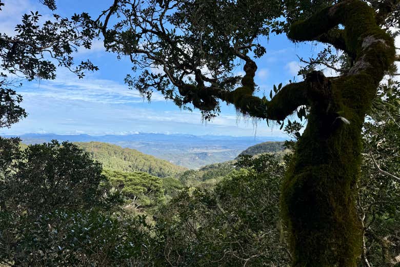El paisaje desde el Kamarun Lookout