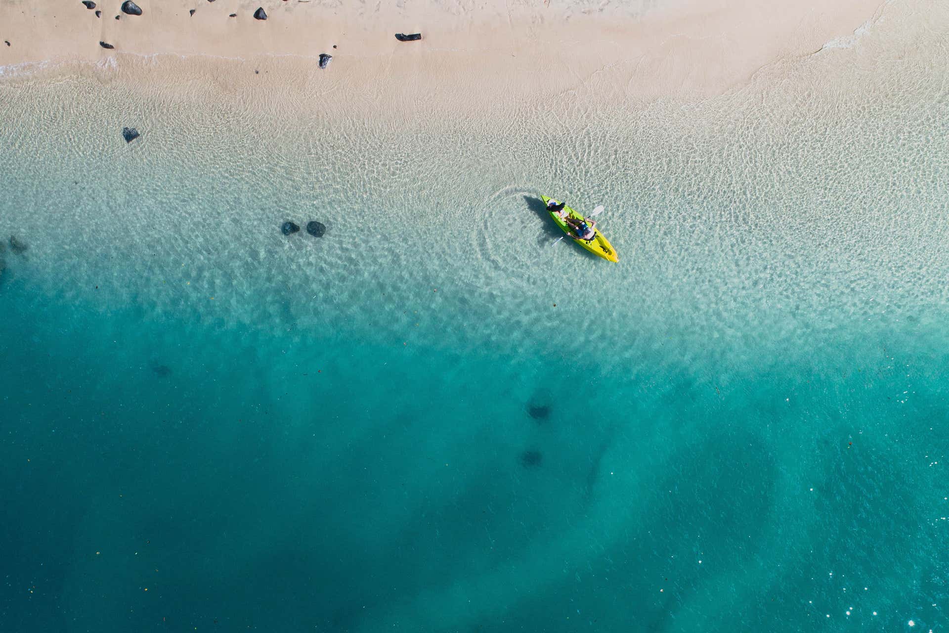 Tour en kayak + Snorkel en Gold Coast Reserva en