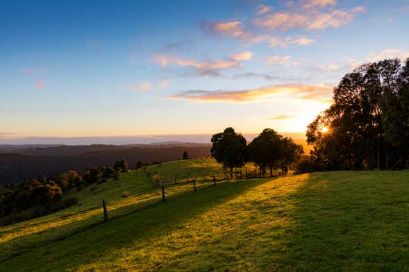 Tour del vino por la montaña Tamborine