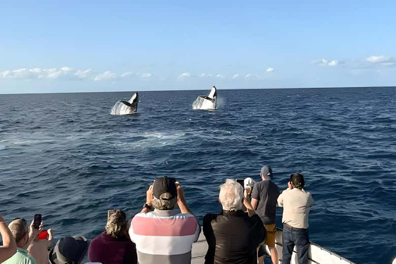 ¡No dejaréis de hacer fotos!