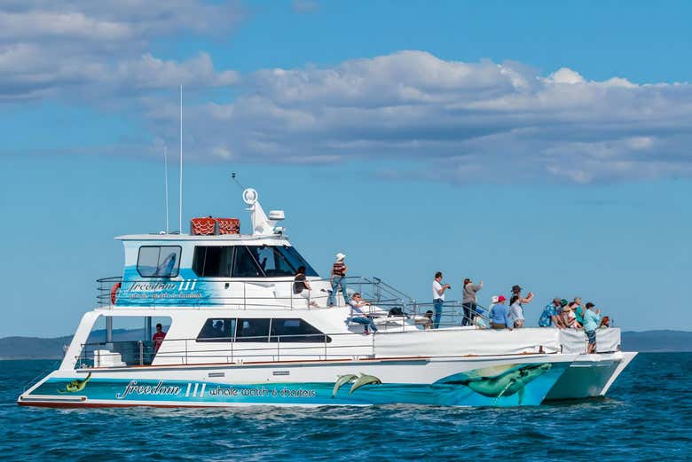 El barco en el que navegaremos por Hervey Bay