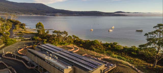 Bruny Island Day Trip