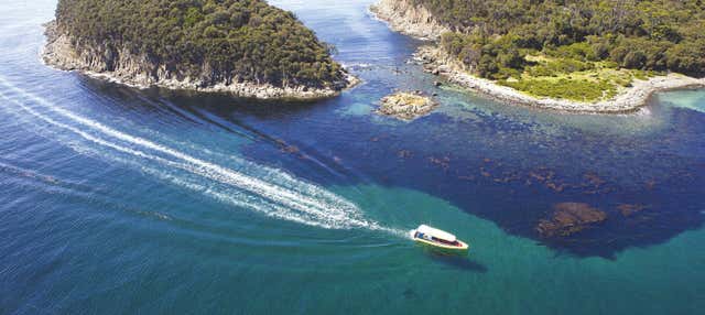 Bruny Island Day Trip & Boat Ride