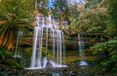 Escursione al Mount Field National Park e Richmond