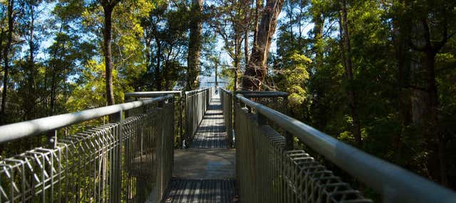 Excursión al valle de Huon y cuevas Hastings