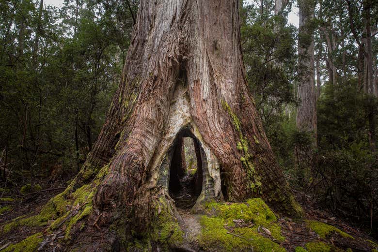 Explore this stunning park
