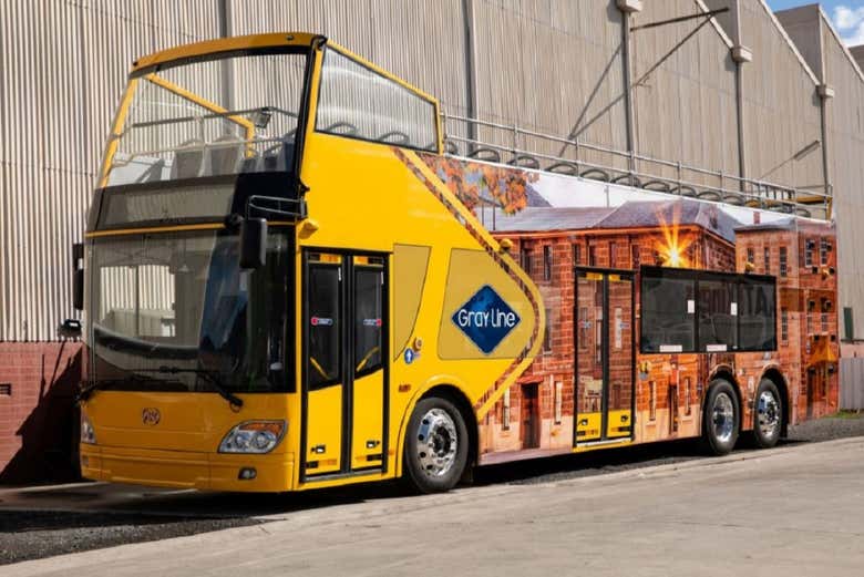 Autobus per il tour panoramico