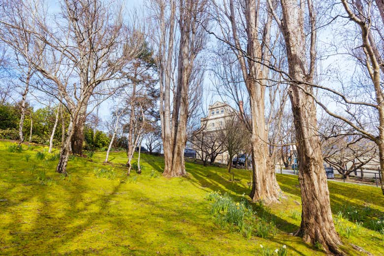 Cascade Gardens