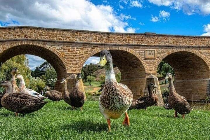Le pont de Richmond est un symbole de la Tasmanie