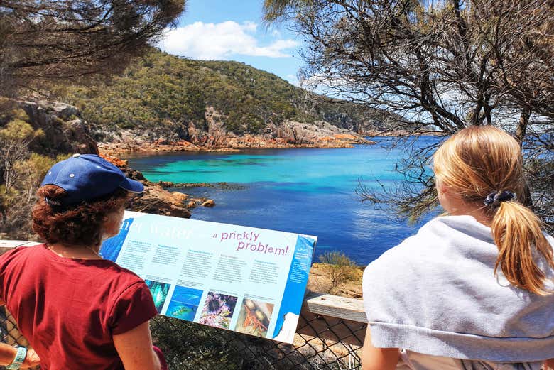 Admiring the spectacular colours of the coastline
