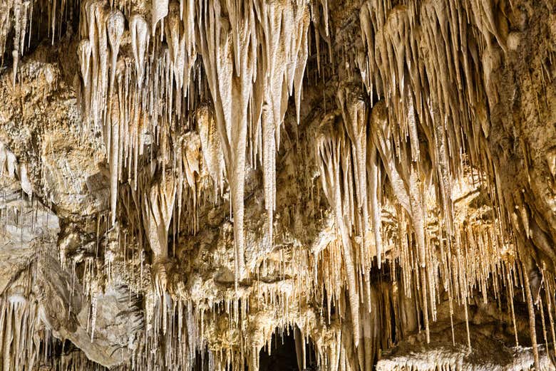 Les grottes d'Hastings