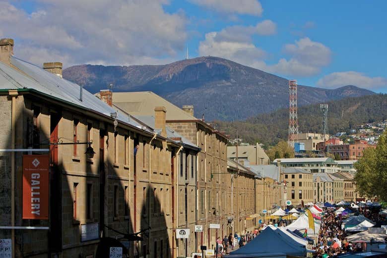 Visiteremo alcune delle migliori gallerie d'arte di Hobart