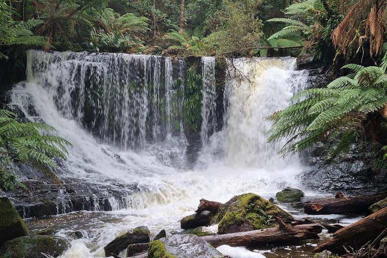 Chutes de Russell