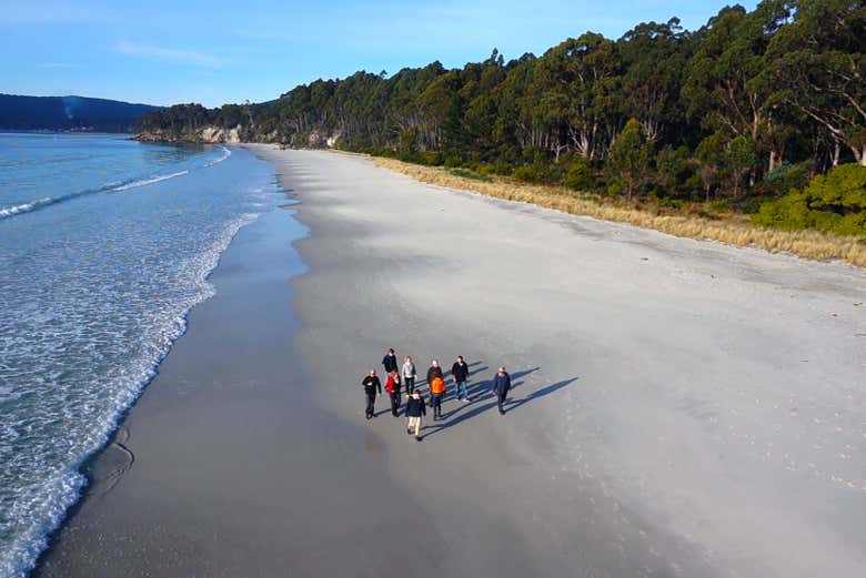 Passeando pela praia de Adventure Bay