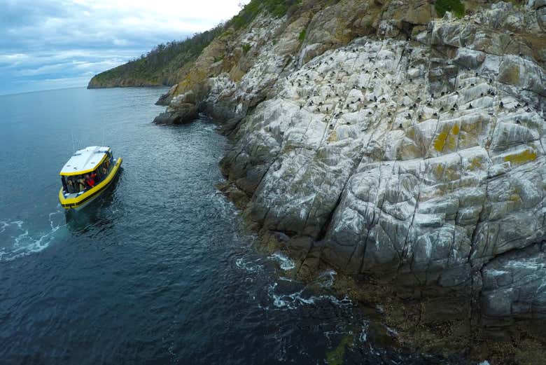 Contornando o litoral da Tasmânia