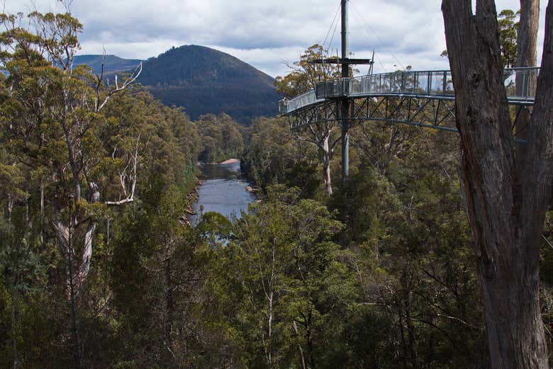 Tahune Airwalk