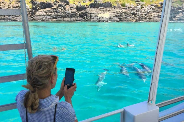 Conociendo la diversa fauna marina