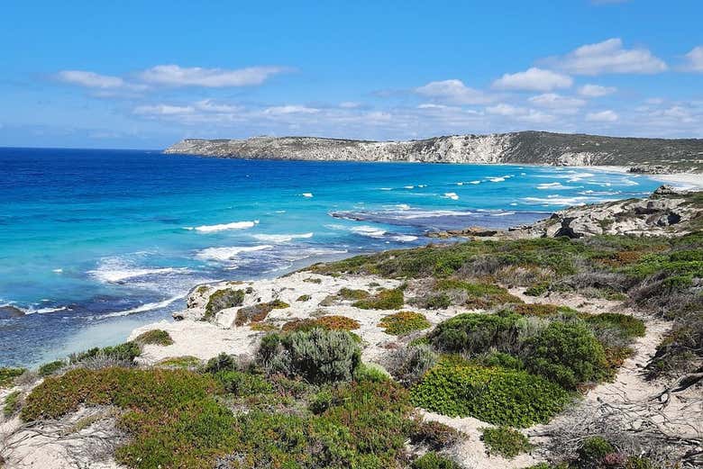 Make the most of your visit Down Under!