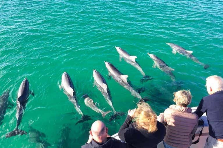 Capture amazing photos